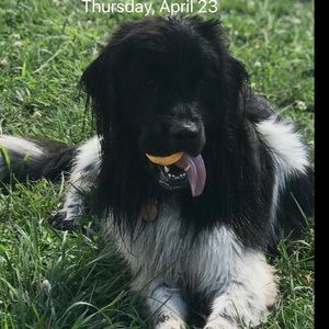 Meet your Posher, Stefan